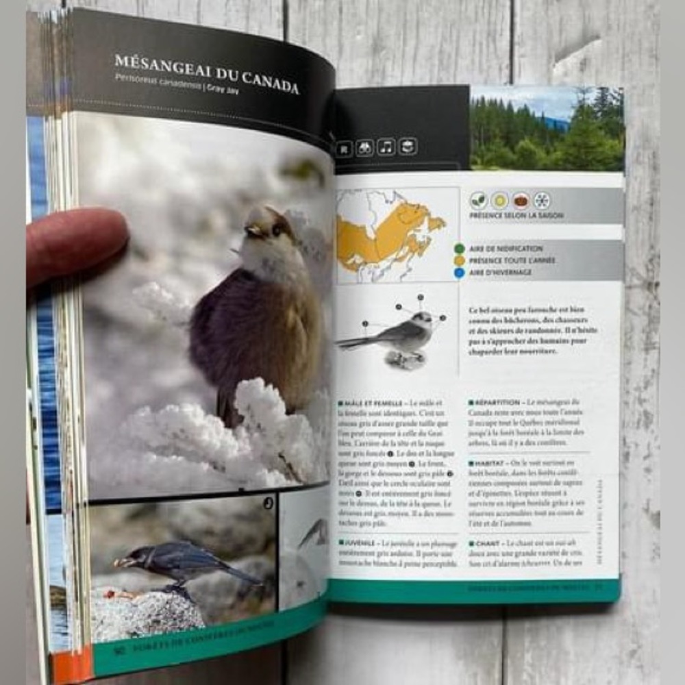 3📚/$25 📍 Les Oiseaux Familiers du Québec - Picture 6 of 7